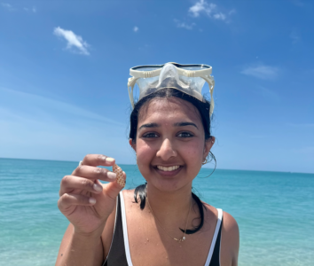 article image - SHELL FIND A1